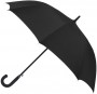 Parasol Cirrus