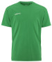 TEAM GREEN (651000)