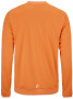 EVOLVE 2.0 CREWNECK