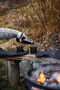 Butelka ze stali NILS 12/24H 0,5 L, czarny