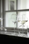 Kieliszek do wina SAGA GLASS 2-szt, transparentny