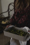 Kieliszek do wody SAGA GLASS 2-szt, transparentny