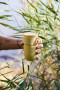 TED THERMAL MUG, YELLOW