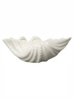 BOWL SHELL S, WHITE