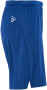 EVOLVE 2.0 SHORTS