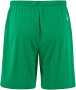 EVOLVE 2.0 SHORTS