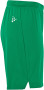 EVOLVE 2.0 SHORTS