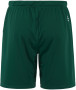 EVOLVE 2.0 SHORTS