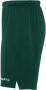 EVOLVE 2.0 SHORTS