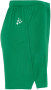 EVOLVE 2.0 SHORTS WOMAN