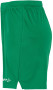 EVOLVE 2.0 SHORTS WOMAN