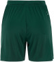 EVOLVE 2.0 SHORTS WOMAN