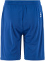 EVOLVE 2.0 SHORTS JUNIOR