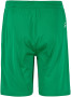 EVOLVE 2.0 SHORTS JUNIOR