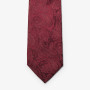 SOLID PAISLEY TIE