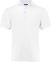 VIRTUE ECO POLO SOLID 