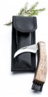 Mushroom picking knife in a sheath