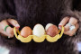 ELLEN EGG TRAY, YELLOW