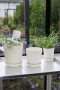 ELISE HERB POT, WHITE