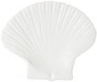 PLATE SHELL M, WHITE